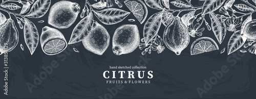 Ink hand drawn citrus fruits banner design on chalkboard. Vector lemons background with fruits, flowers, seeds, leaves sketches. Perfect for banners, menu, invitations, prints. 