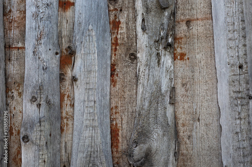 Old wood texture of gray color. Texture, background