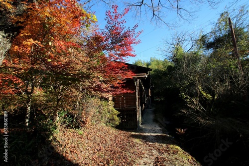 宿場町の古民家 photo