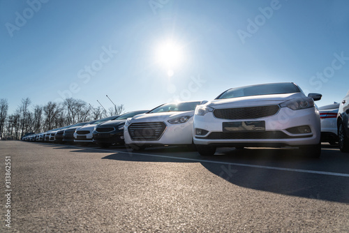 Cars in a row. Used car sales 