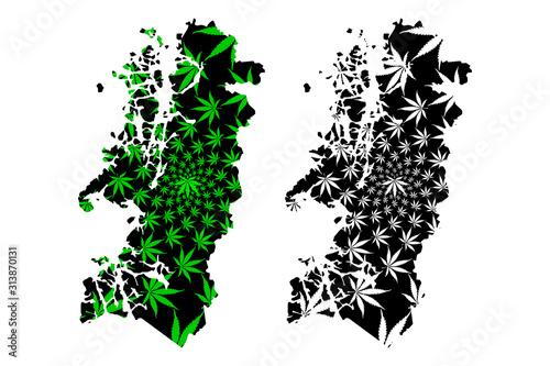Aysen del General Carlos Ibanez del Campo Region (Republic of Chile) map is designed cannabis leaf green and black, Aysen or Aisen map made of marijuana (marihuana,THC) foliage.... photo