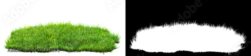 Fotografia green grass turf isolated on white background with alpha mask for easy isolation