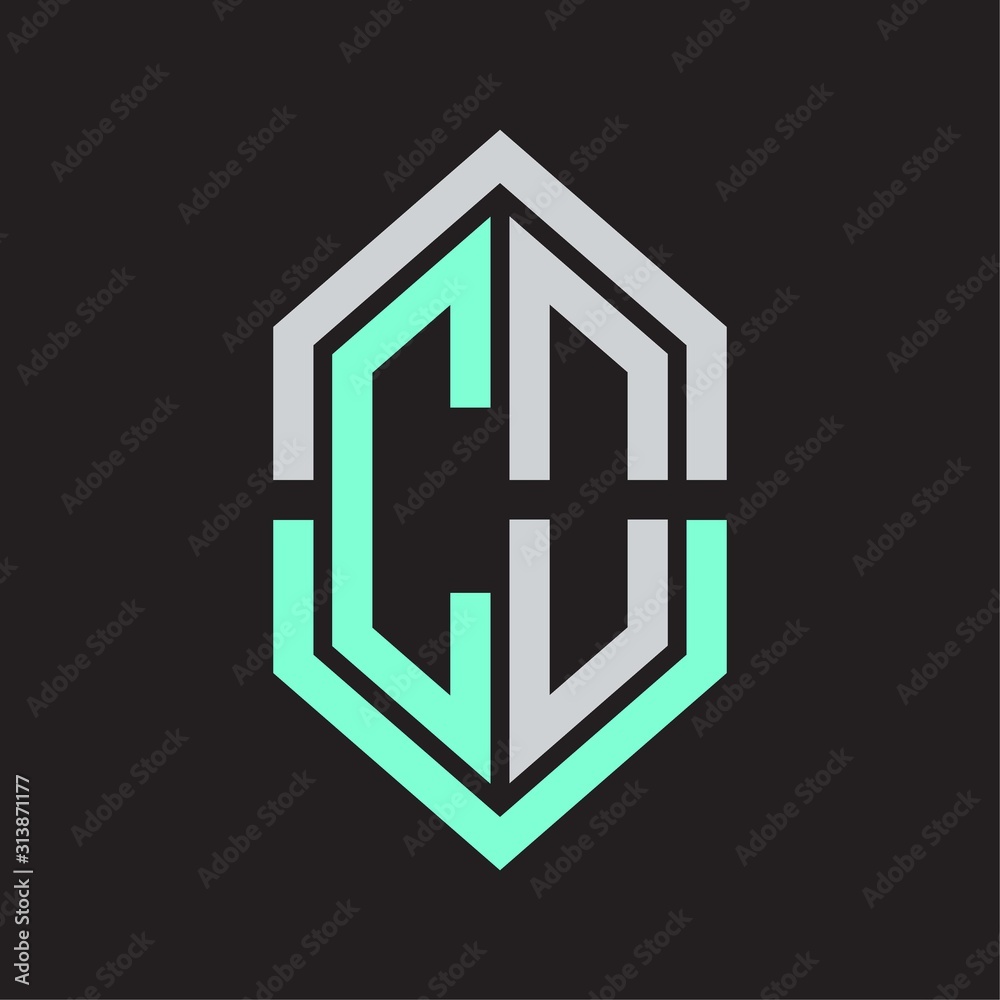 Obraz premium CO Logo monogram with hexagon shape and outline slice style