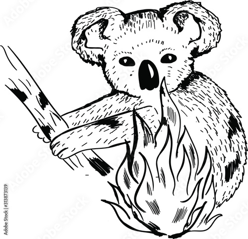 teddy bear, koala bear in fire , australia emergency situation . Animals care vector isolated illustration on white background   photo