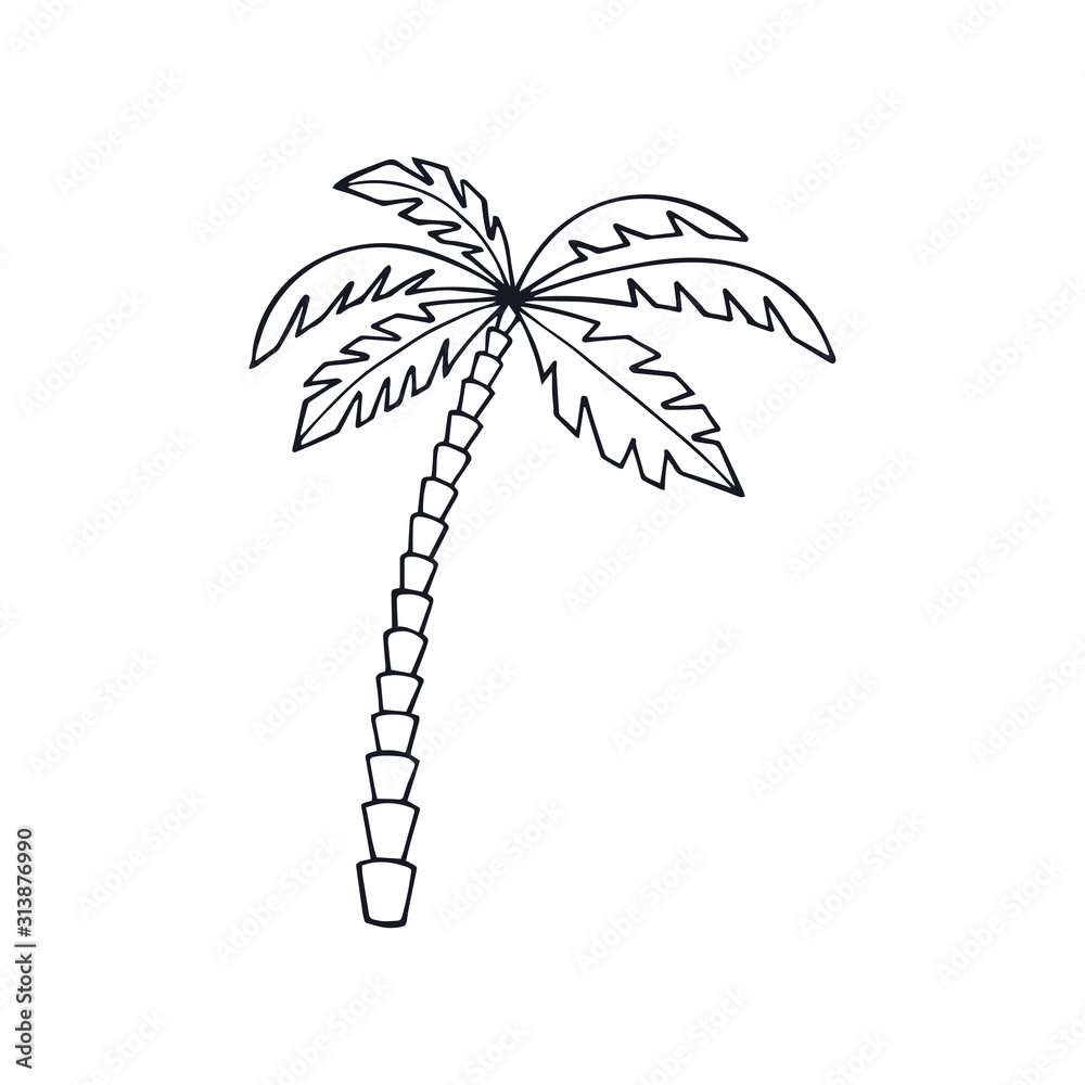 Obraz premium palm tree on white background. eps 10 vector stock illustration.