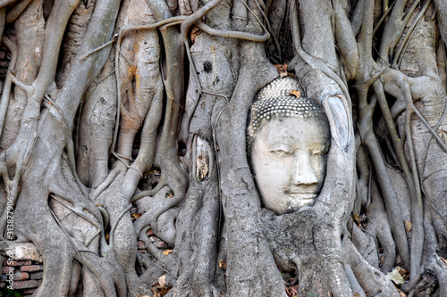 Ayutthaya Buddha HeadThe Buddha head is located at Wat Mahathat in Ayutthaya.