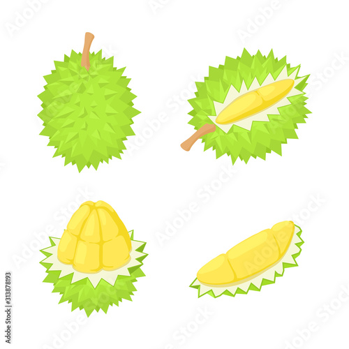 Durian icons set. Isometric set of durian vector icons for web design isolated on white background
