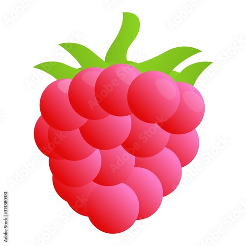 Delicious raspberry icon. Cartoon of delicious raspberry vector icon for web design isolated on white background