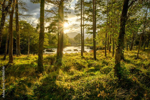 Sun above blackwater river through trees