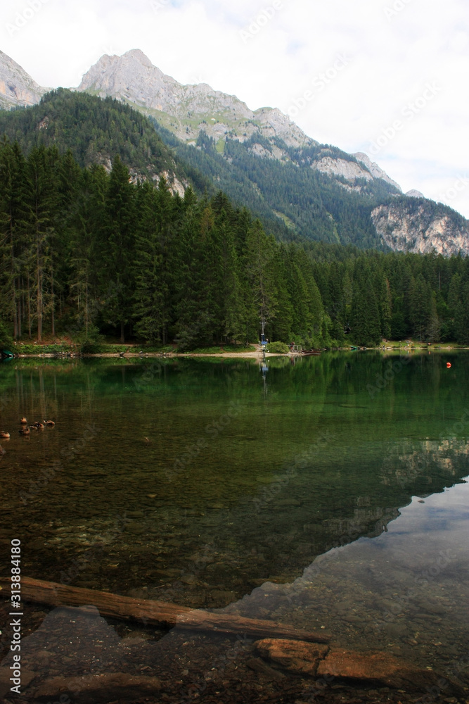 Fototapeta premium W jeziorze odbija się las i góry.