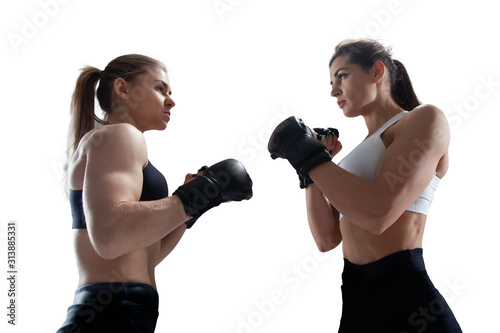 MMA female fighters isolated on white background. © VIAR PRO studio