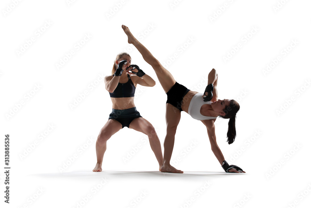 Fototapeta premium MMA female fighters isolated on white background.