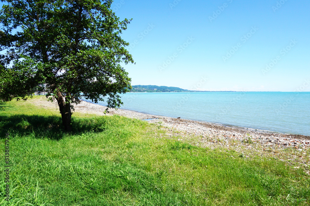 Landscape with green tree and blue sea at sunny Greek. Landscape with green tree and blue sea at sunny Greek.