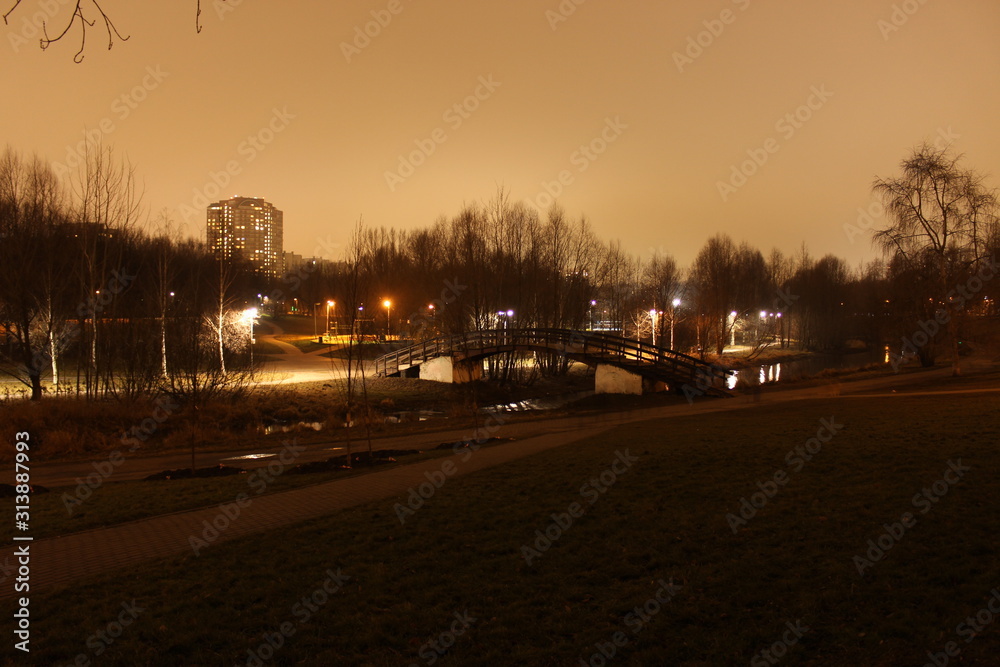 View of the city park at night. Moscow. Russia.