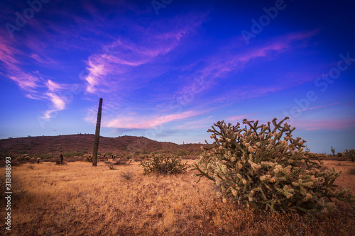 Desert Southwest landscape
