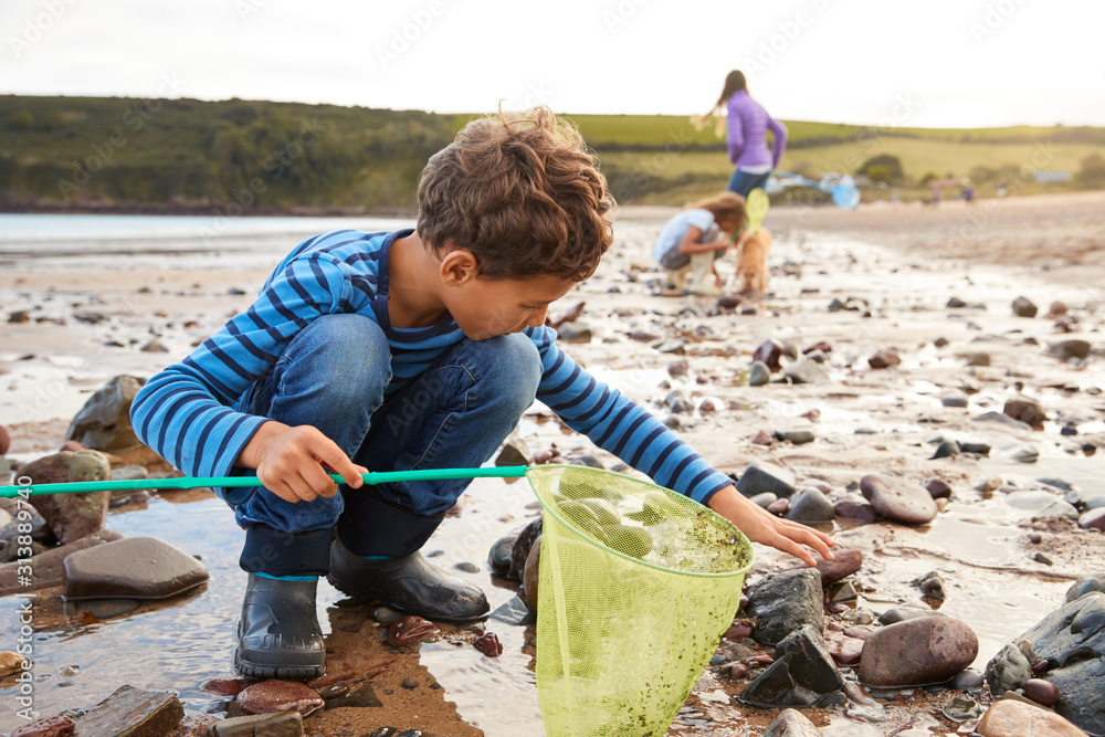 Children With Pet Dog Looking In Rockpools On Winter Beach Vacation - obrazy, fototapety, plakaty 