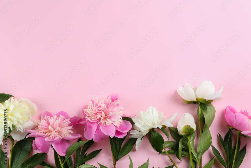 Beautiful peony flowers closeup over textured background with a lot of copy space for text. International women's mother's valentine's first spring day. Close up, top view, backdrop, flat lay.