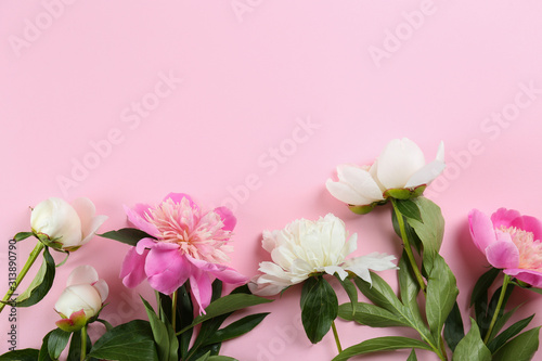 Beautiful peony flowers closeup over textured background with a lot of copy space for text. International women's mother's valentine's first spring day. Close up, top view, backdrop, flat lay.