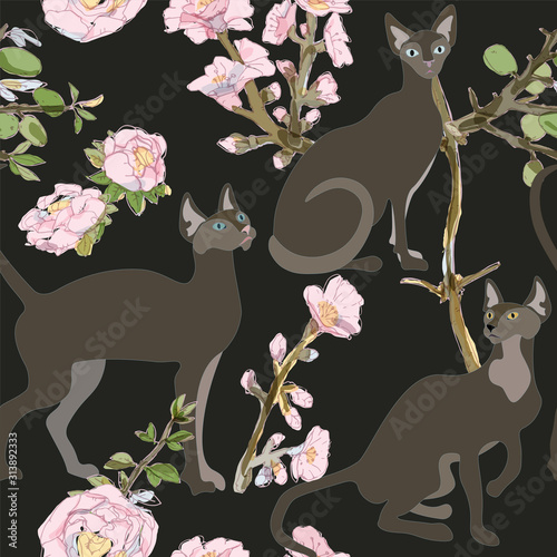 Three white siamese or sphinx cats in sakura flowers on a light background seamless vector illustration. Felis catus. Image of a silhouette of a bald and hairless cat. Endless pattern.