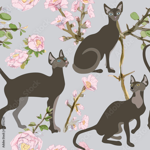 Three brown siamese or sphinx cats in sakura flowers on a blue background seamless vector illustration. Felis catus. Image of a silhouette of a bald and hairless cat. Endless pattern.