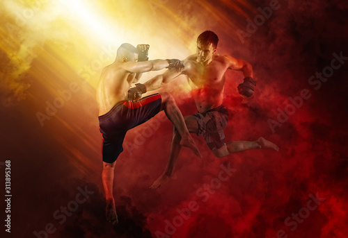 Quadro su tela MMA boxers fighters fight in fights without rules