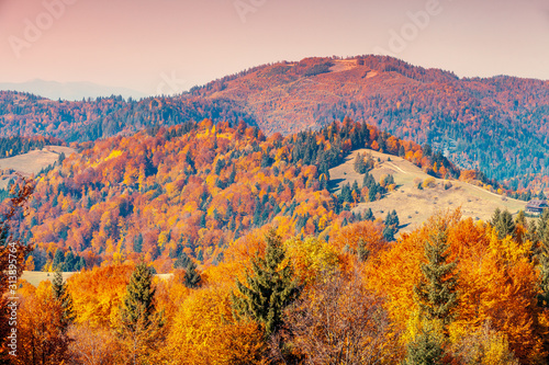 Autumn in the mountains. View of the mountains in autumn. Beautiful nature landscape. Carpathian mountains. Bukovel, Ukraine