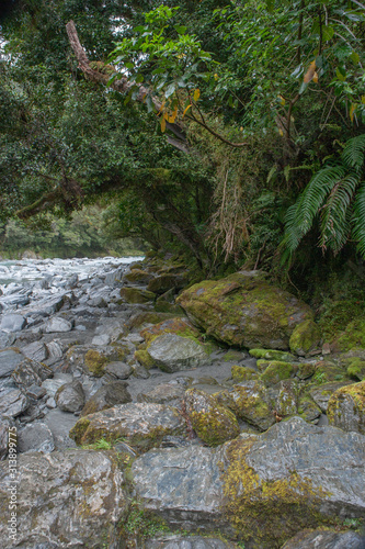 Thunder creek falls. River. South Island New Zealand.. Haast Pass Makarora photo