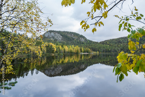 Mountains, forests, lakes view in autumn. Fall colors - ruska time in Iivaara. Oulanka national park in Finland. Lapland, Nordic countries in Europe photo