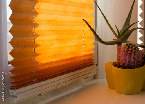 Pleated blinds with orange folded fabric on the window close up. On the windowsill stands home plant in yellow flower pot. Cordless pleated shade with white lower bar.
