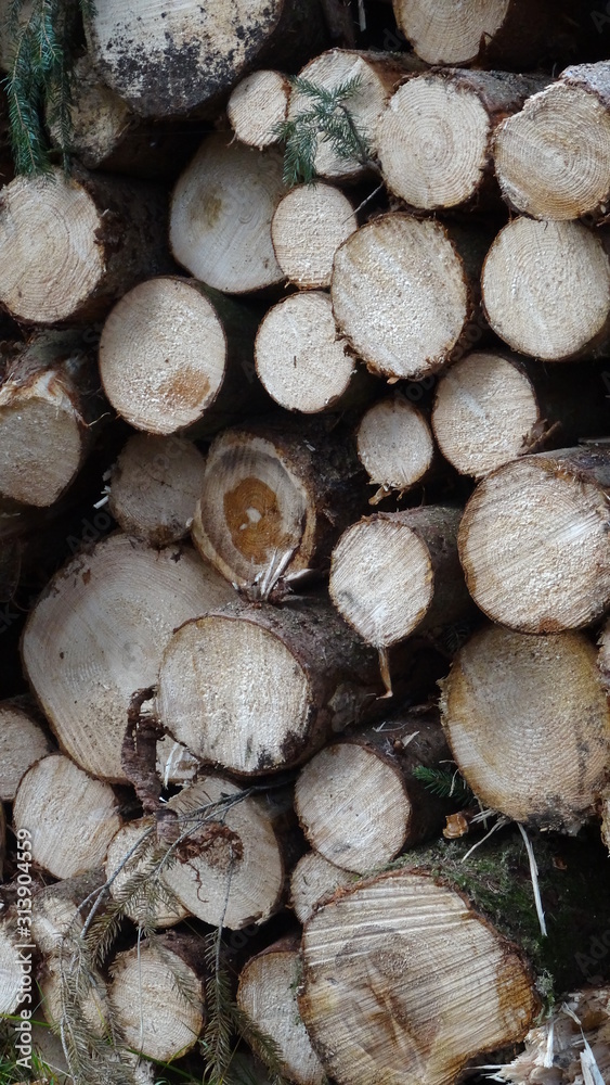 holz scheit baumstamm stapel close up deko hintergrund holz scheit baumstamm stapel close up deko hintergrund