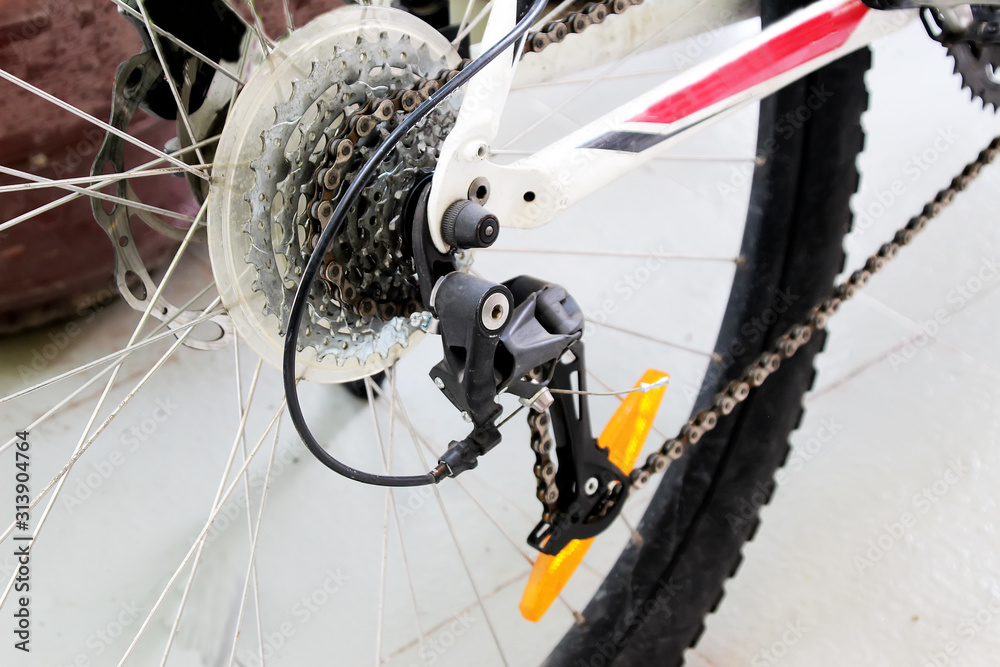 Obraz premium Sports bike rear wheel hub