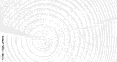 Annual tree growth rings logo, cross-section of a tree trunk background.