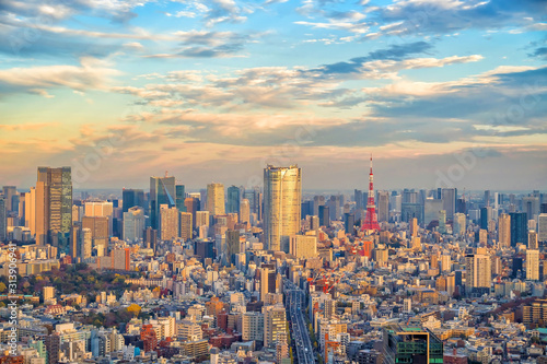 Top view of Tokyo city skyline in Japan