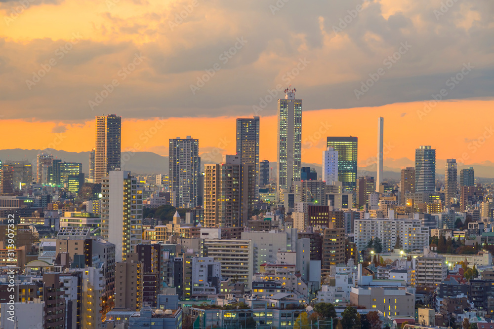 Top view of Tokyo city skyline at sunset .