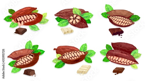 Big set with bars of white and black sweet or bitter chocolate made from cocoa pods and beans. Vector realistic illustrations for packaging, shop label, confectionary, advertising, recipe, web design.