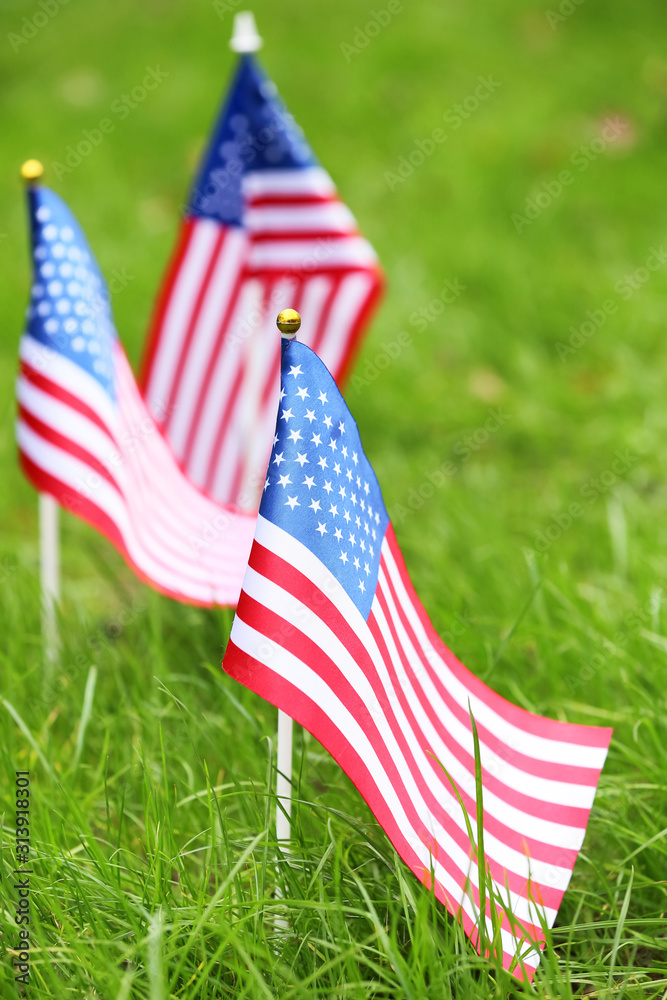 USA flags outdoors. Memorial Day celebration