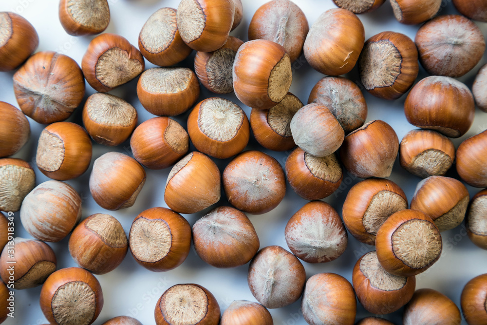 hazelnuts on a wooden background hazelnuts on a wooden background