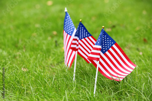 USA flags outdoors. Memorial Day celebration