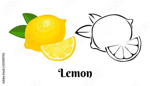 Lemon fruit icon set isolated on white background. Vector color illustration of yellow citrus with  green leaf and black and white  outline.