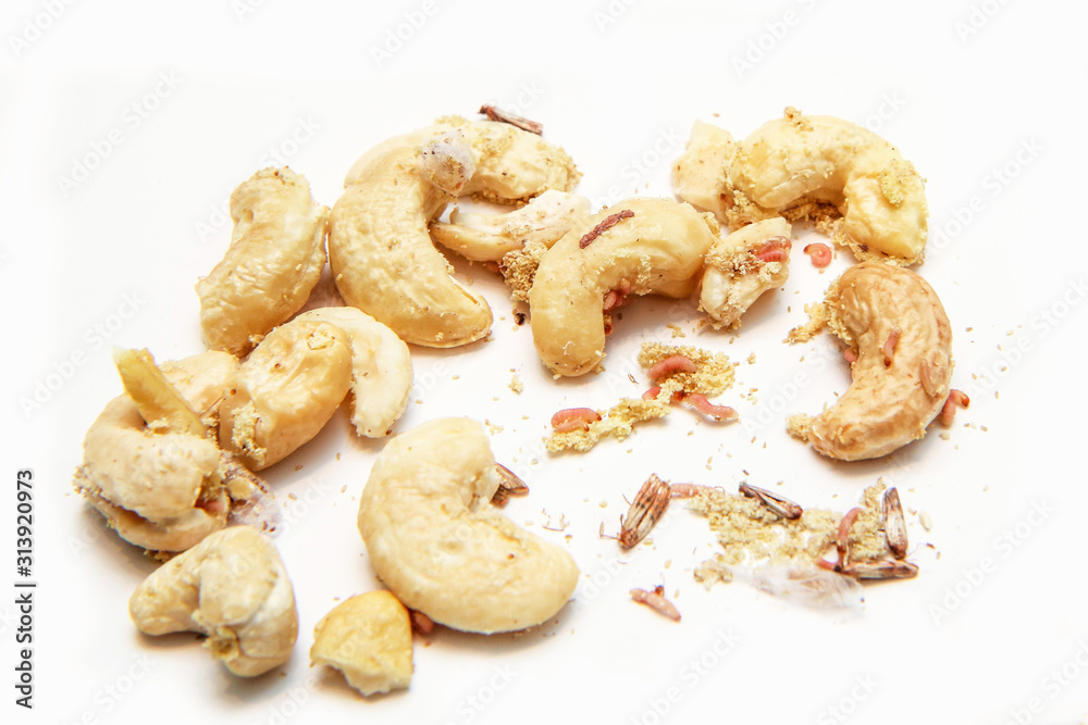 A picture of cashew nuts infested with caterpillars and butterflies of the meal moth. Isolated on a white background. A picture of cashew nuts infested with caterpillars and butterflies of the meal moth. Isolated on a white background.