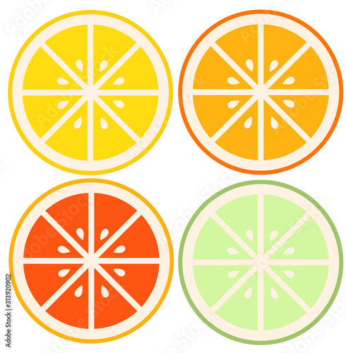 Citrus Illustration
