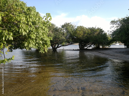 Amazônia
