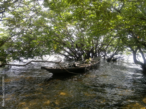 Amazônia