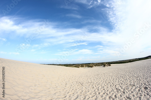 A sand dune in Denmark...the largest in the country. 
