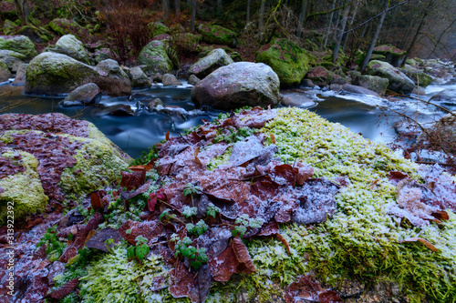 evebing at the river aist in the valley aisttal, austria photo