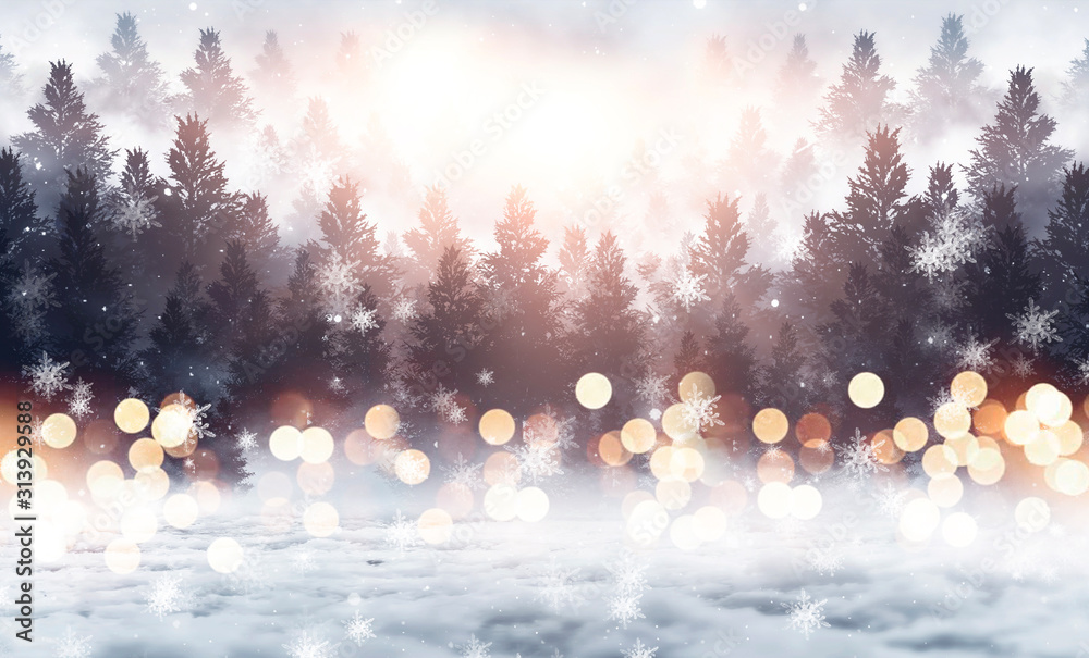 Winter abstract landscape. Sunlight in the winter forest. Winter abstract landscape. Sunlight in the winter forest.
