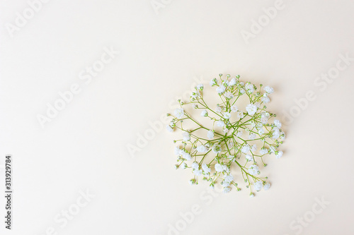 Small lush elegant white gypsophila flowers on a pastel background. The concept of spring, summer, women's day, Valentine's day, wedding, holiday, birthday. Macro photo for banners, cards, posters.