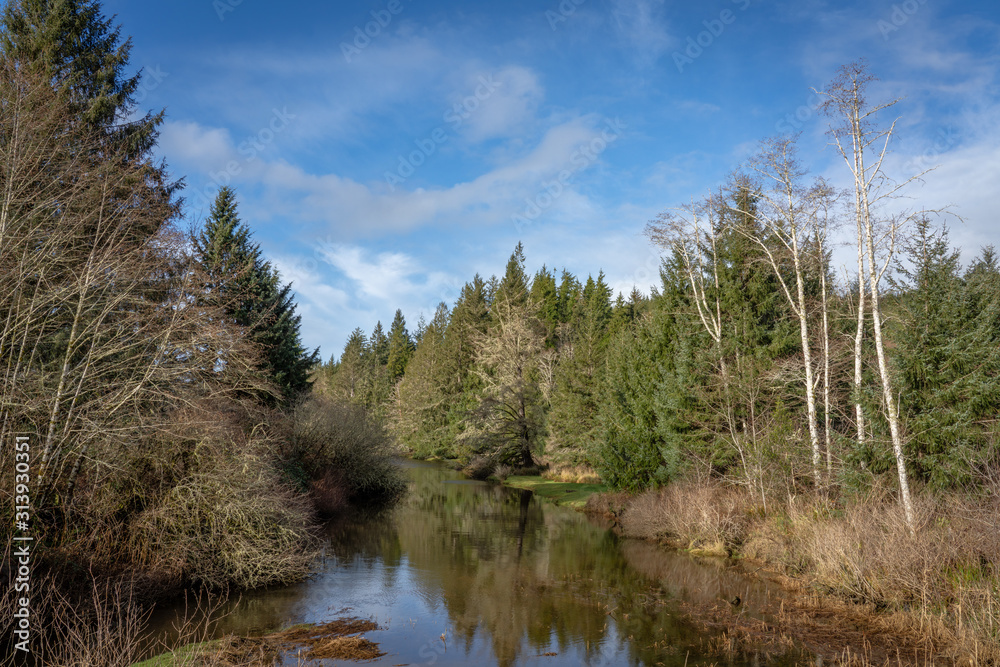 Obraz premium Roaring Creek Slough, Washington State, USA