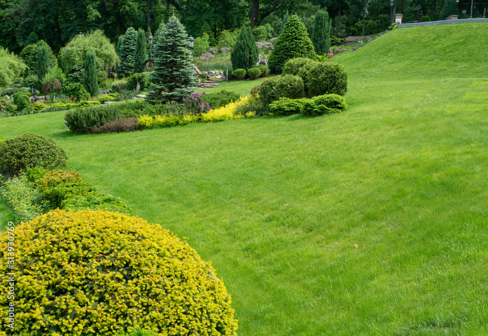 Obraz premium Green lawn, Landscape formal, front yard is beautifully designed garden. Beautiful view of landscaped tropical garden.