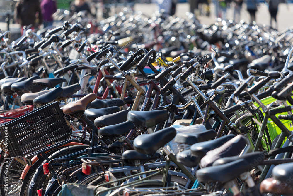 Fototapeta premium Densely parked bicycles in Amsterdam